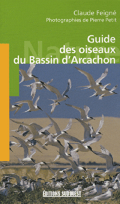Guide Des Oiseaux Du Bassin D Arcachon
