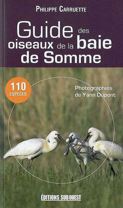 Guide Des Oiseaux De La Baie De Somme