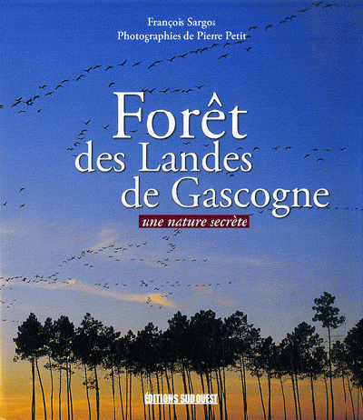 Foret Des Landes De Gascogne