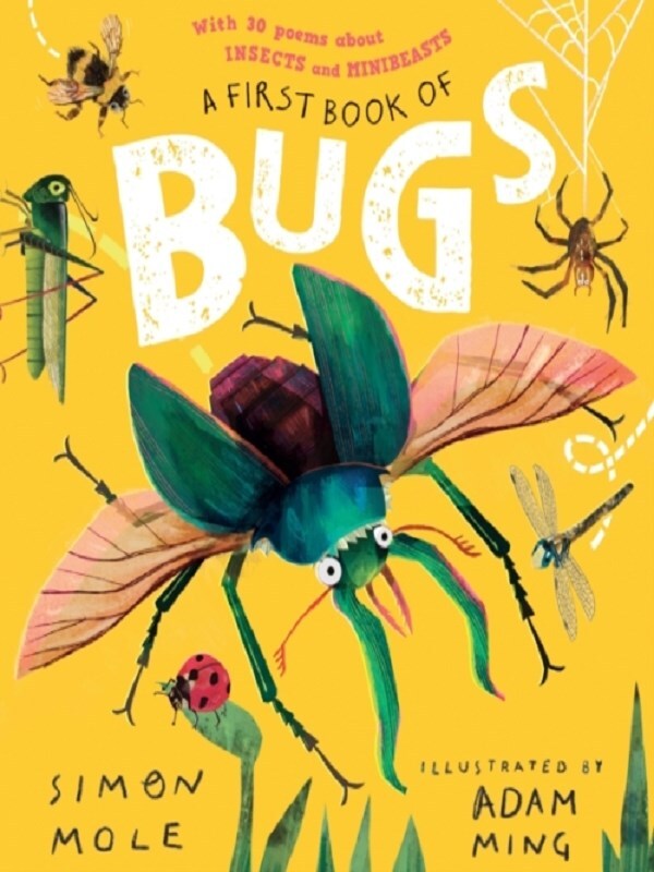 A First Book of Bugs: with 30 poems about insects and minibeasts