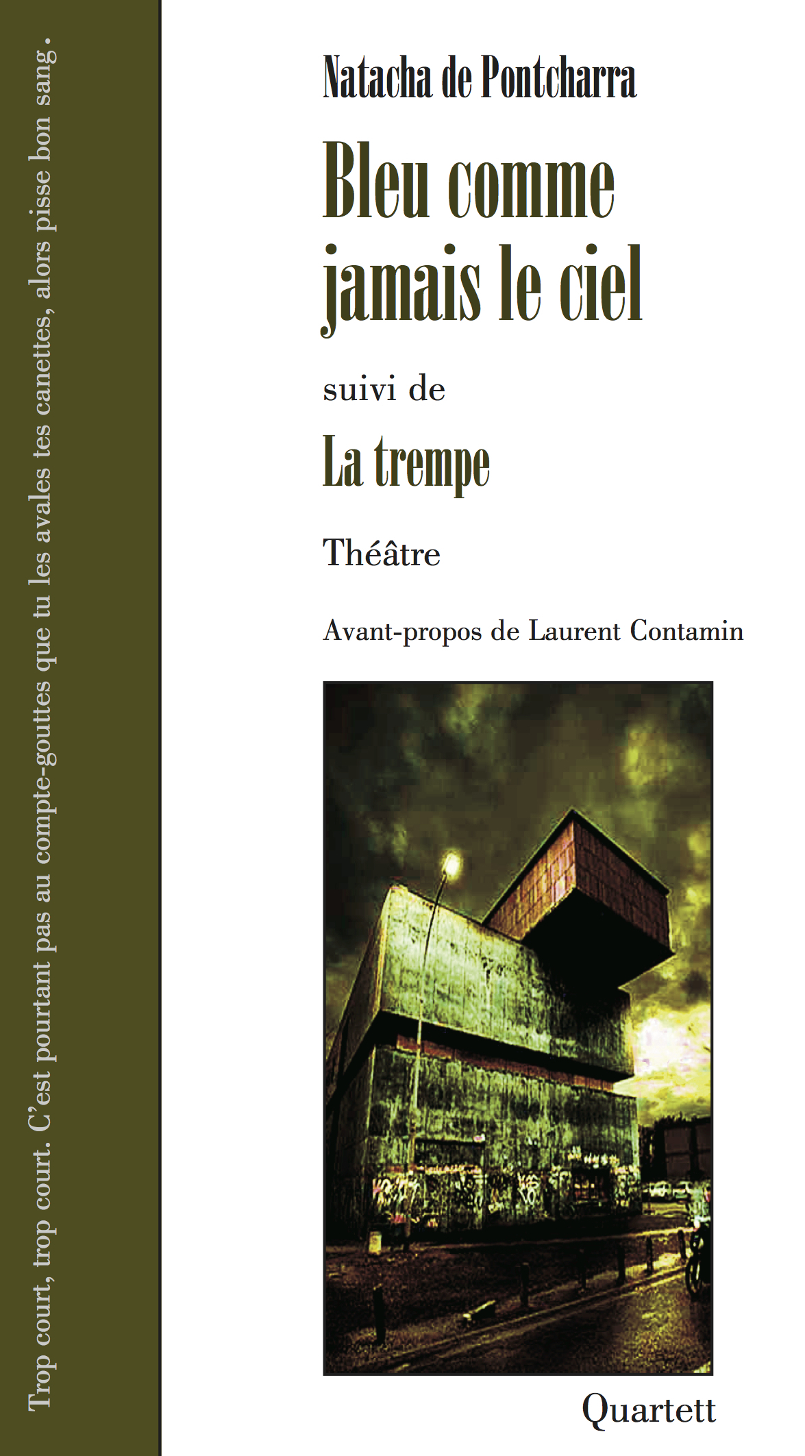 Bleu comme jamais le ciel