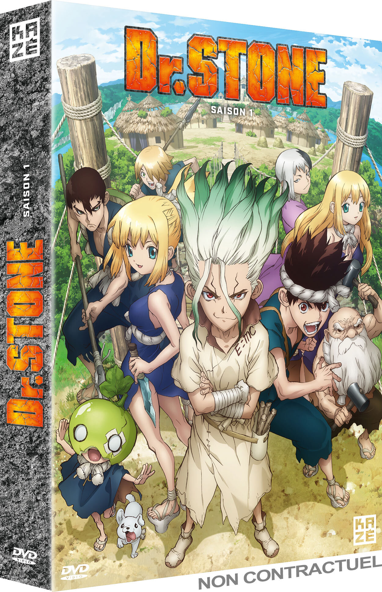 DR. STONE - SAISON 1 - 5 DVD