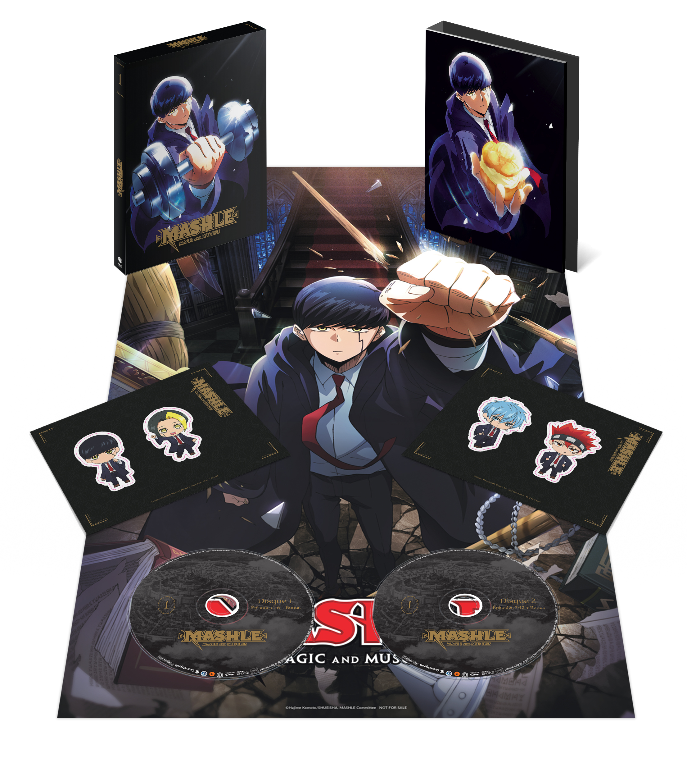 MASHLE - SAISON 1 - 2 DVD