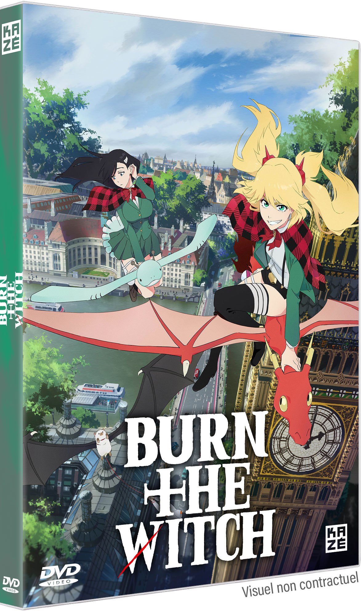 BURN THE WITCH - DVD