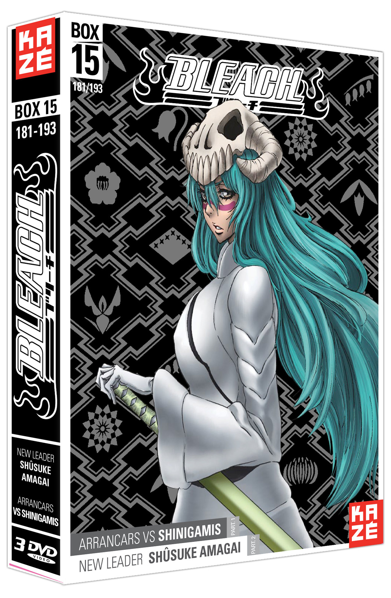 BLEACH - SAISON 4 - PARTIE 15 - DVD