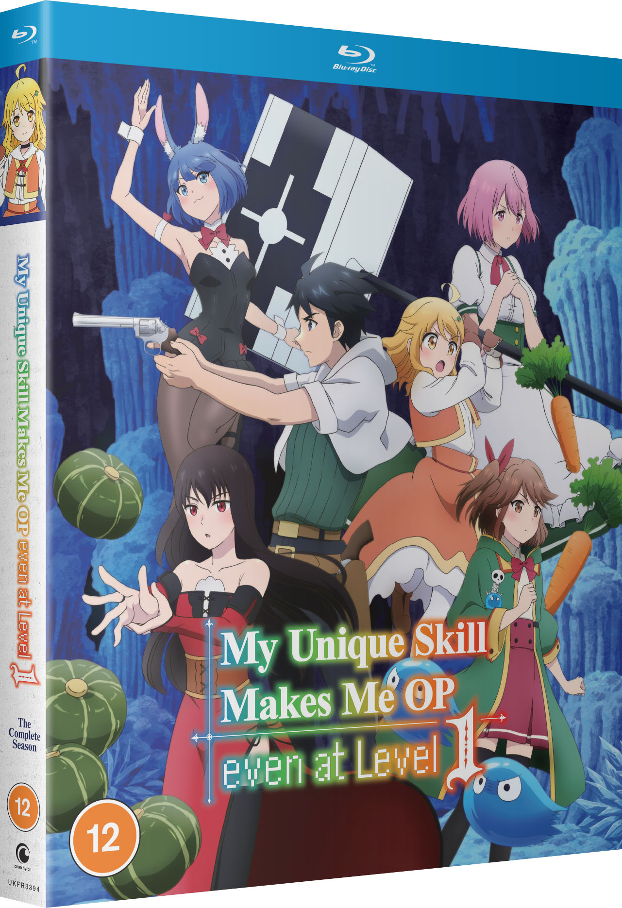 MY UNIQUE SKILL MAKES ME OP EVEN AT LEVEL 1 - SAISON COMPLETE - 2 BLU-RAY