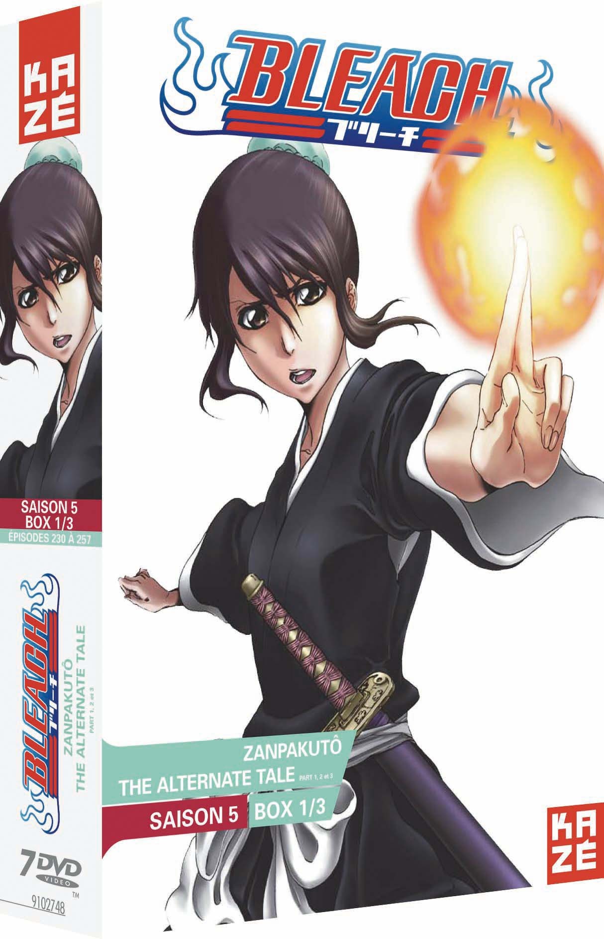 BLEACH - SAISON 5 - PARTIE 1 SUR 3 - 7 DVD