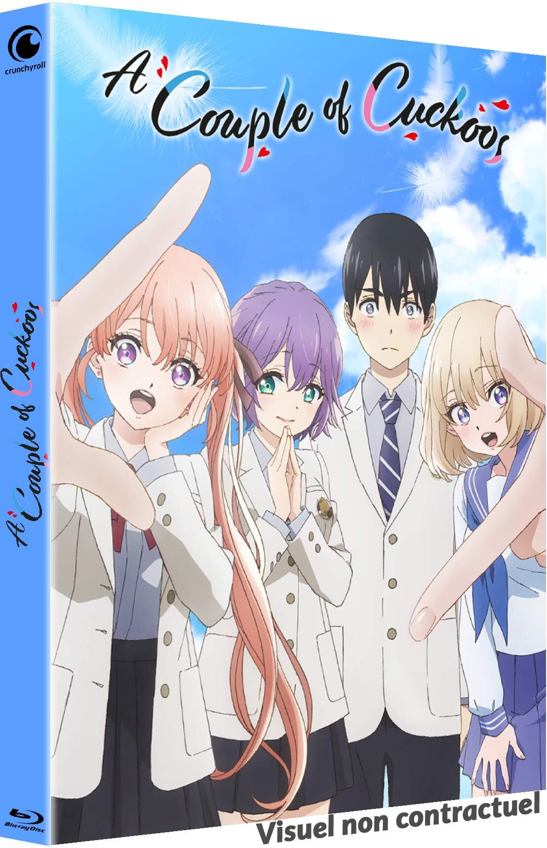 A COUPLE OF CUCKOOS - SAISON 1 PART 1 - 2 BLU-RAY