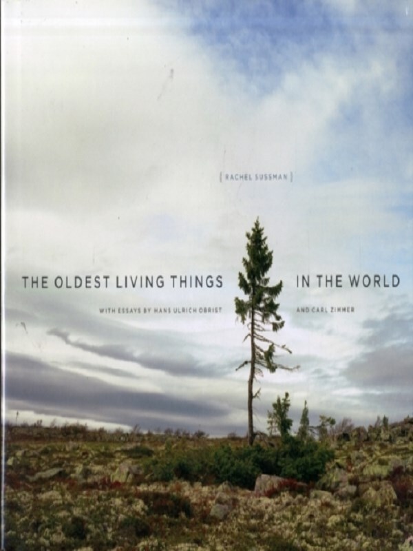 The Oldest Living Things in the World