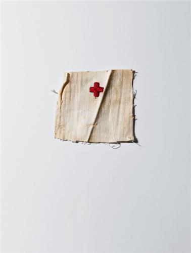 Henry Leutwyler: International Red Cross & Red Crescent Museum /anglais