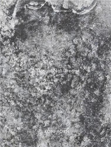 Roni Horn A Dream not Dreamt /anglais