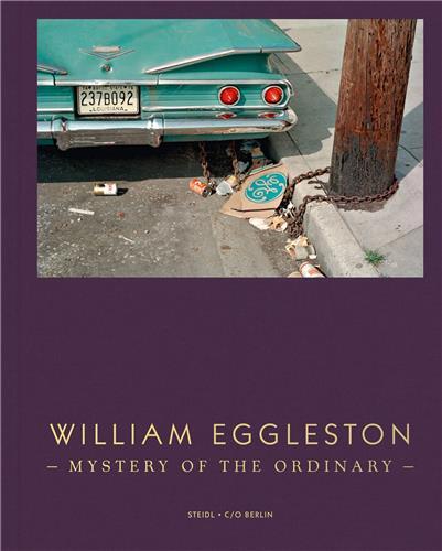 William Eggleston Mystery Of The Ordinary /anglais