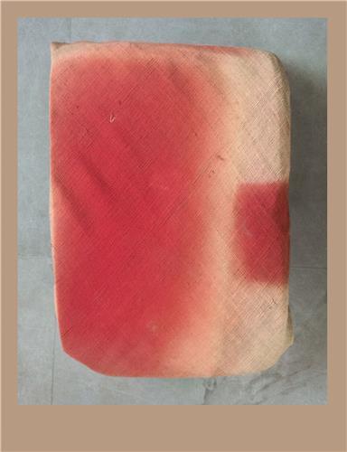 Dayanita Singh Time Measures /anglais