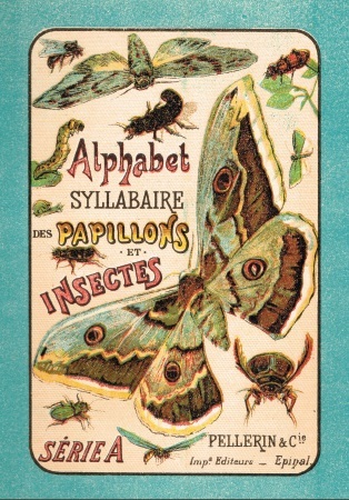 ALPHABET SYLLABAIRE PAPILLONS ET INSECTES