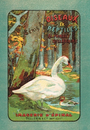 ALPHABET SYLLABAIRE OISEAUX ET REPTILES