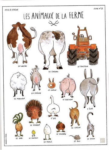 ANIMAUX DE LA FERME