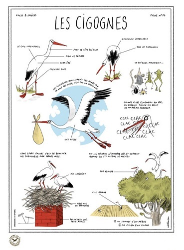 LES CIGOGNES