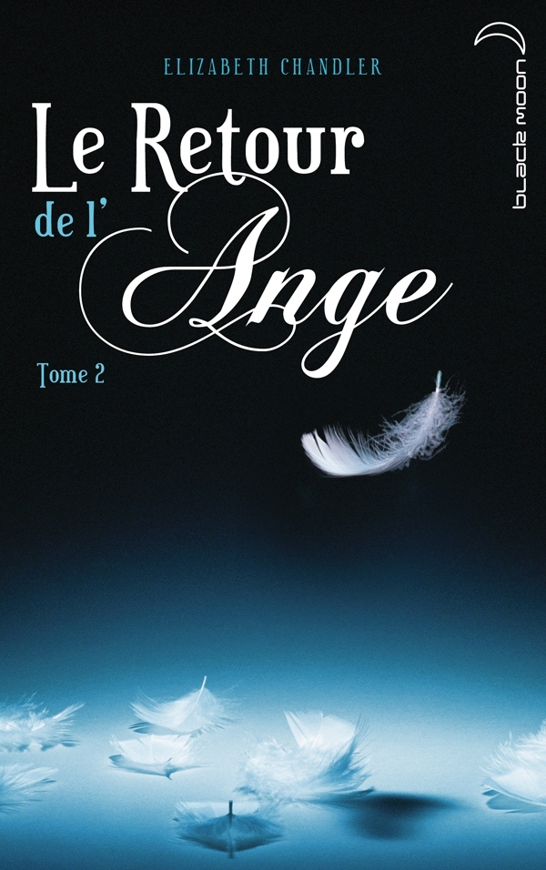 Le Retour de l'ange - Tome 2 - La Poursuite