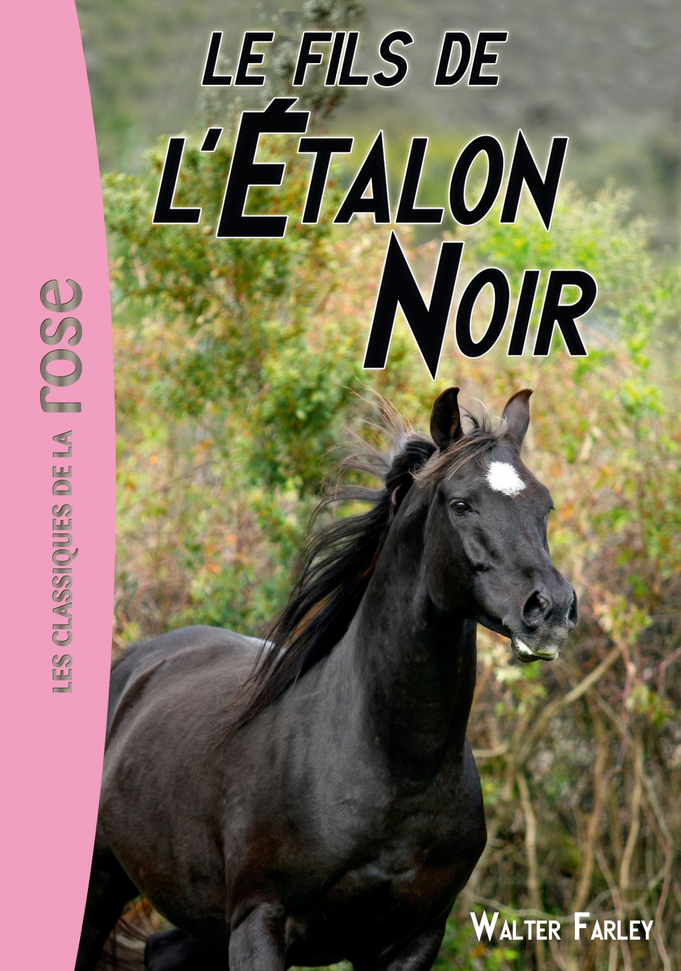 L'Étalon noir 04 - Le fils de l'Étalon Noir