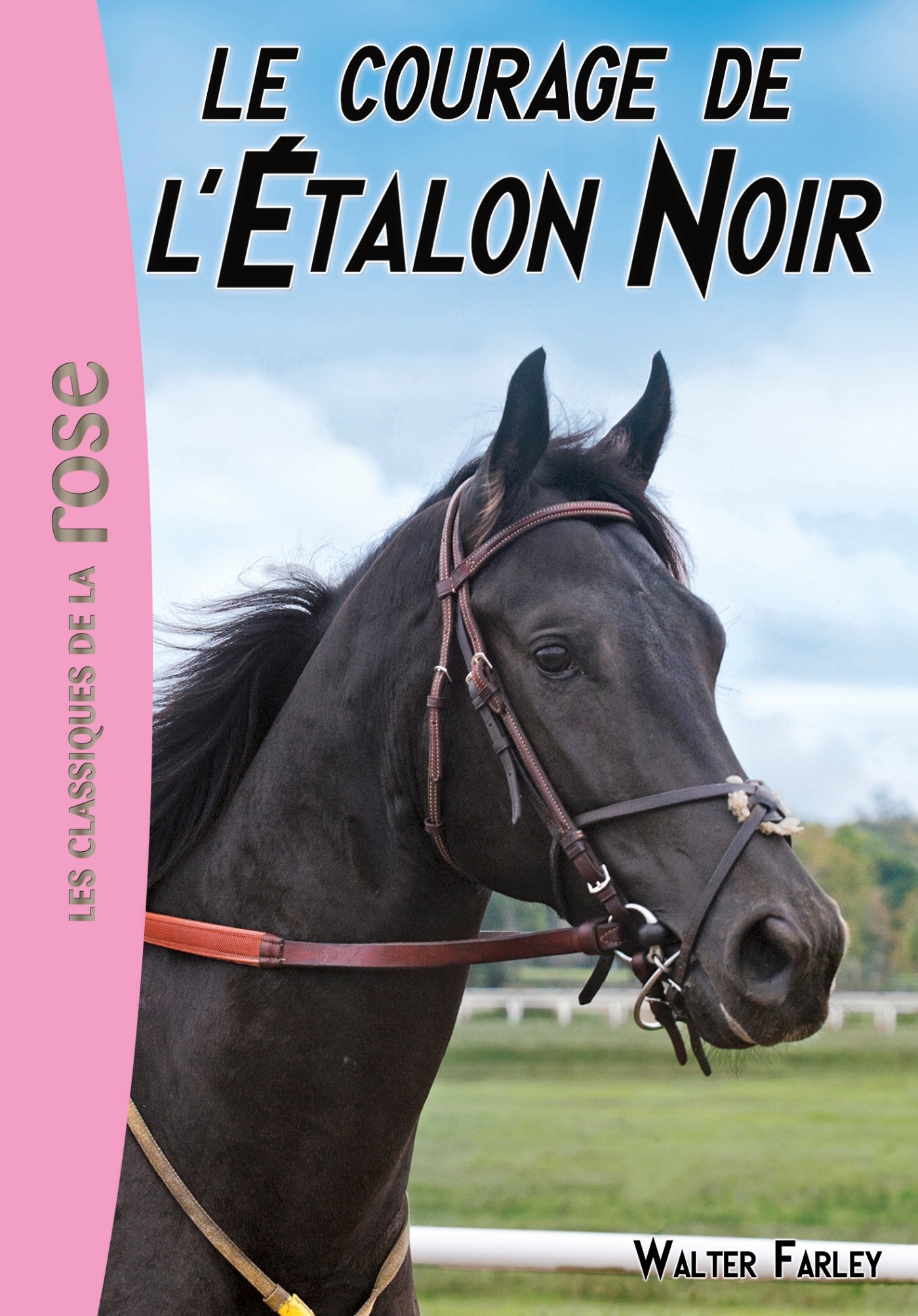 L'Étalon Noir 13 - Le courage de l'Etalon Noir