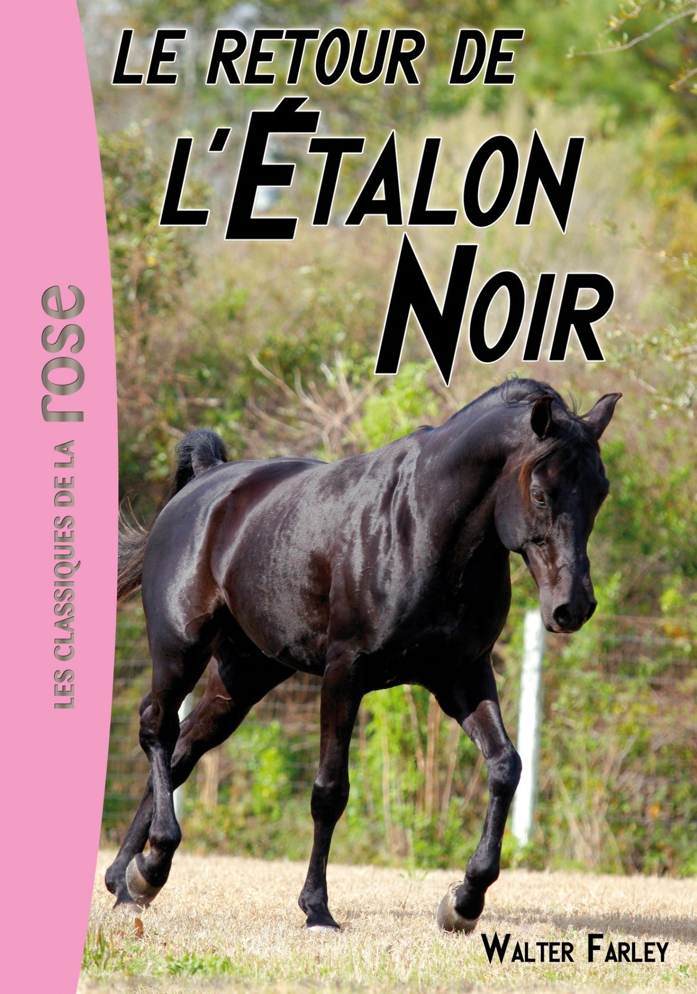 L'Étalon Noir 02 - Le retour de l'Étalon Noir