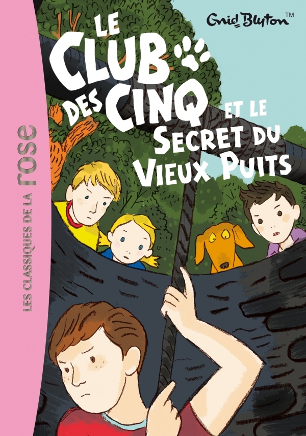 Le Club des Cinq 20 - Le Club des Cinq et le secret du vieux puits