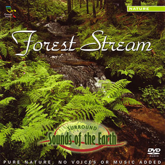 Forest Stream