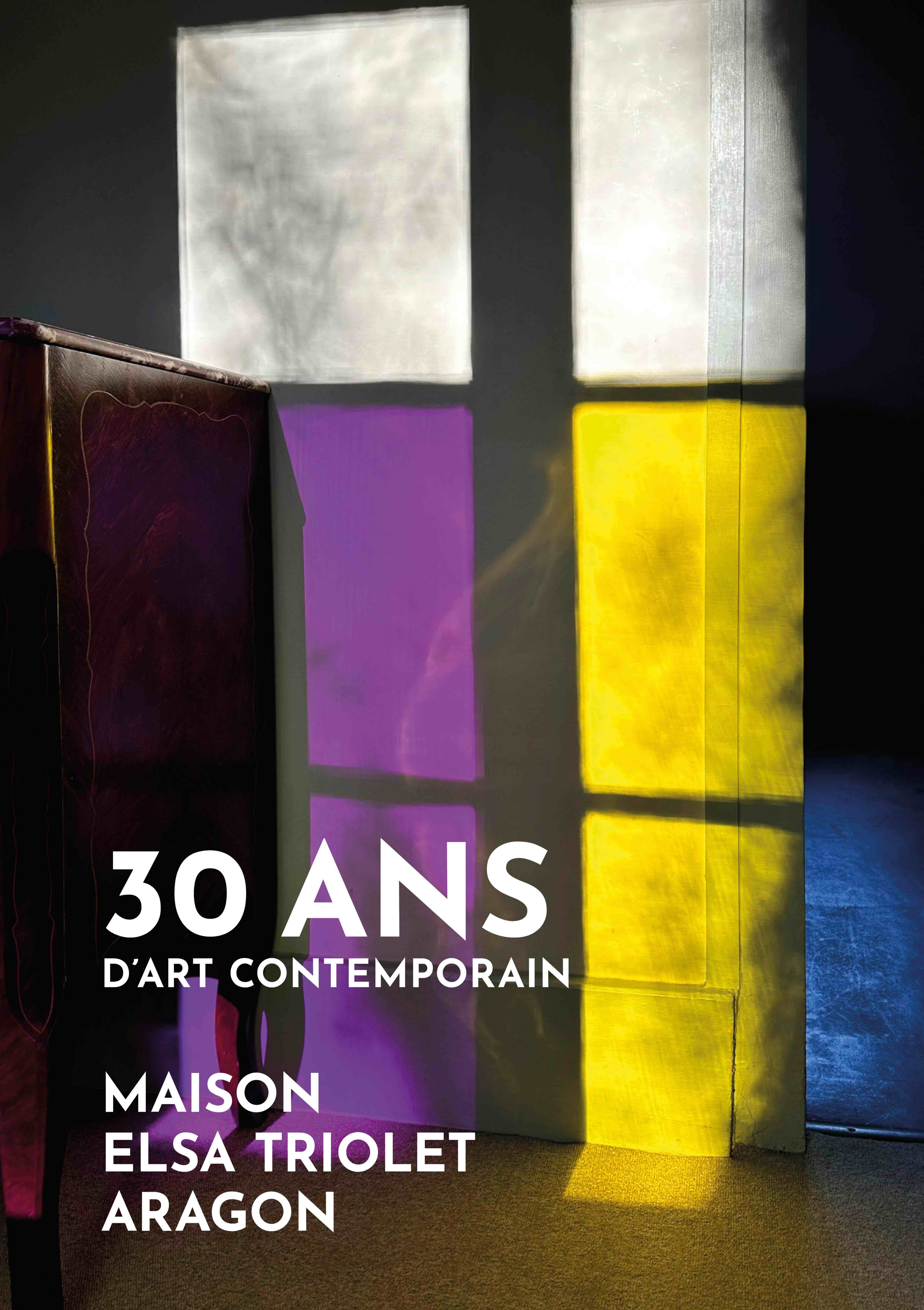 30 ans d'art contemporain