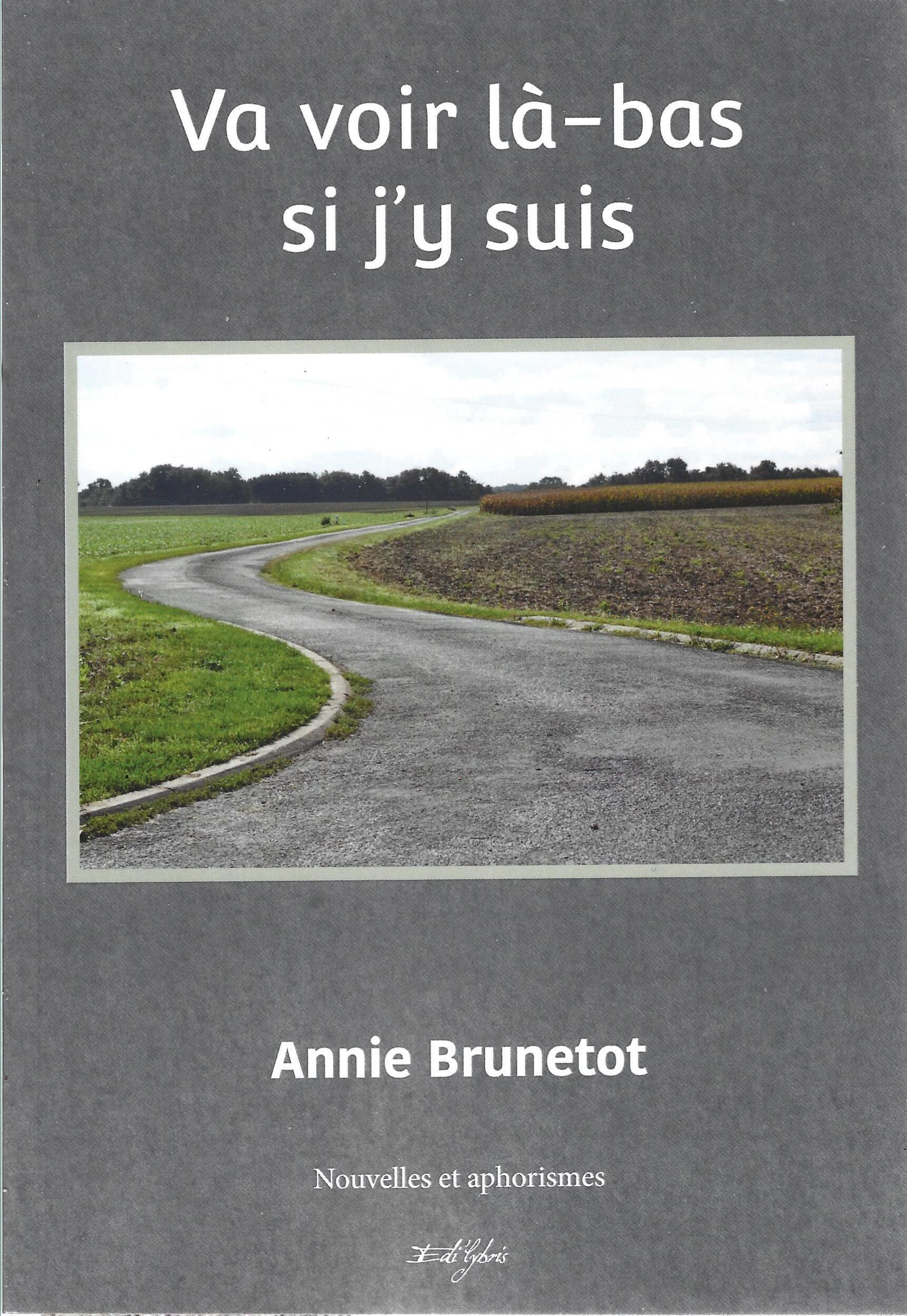 Va voir là-bas si j'y suis