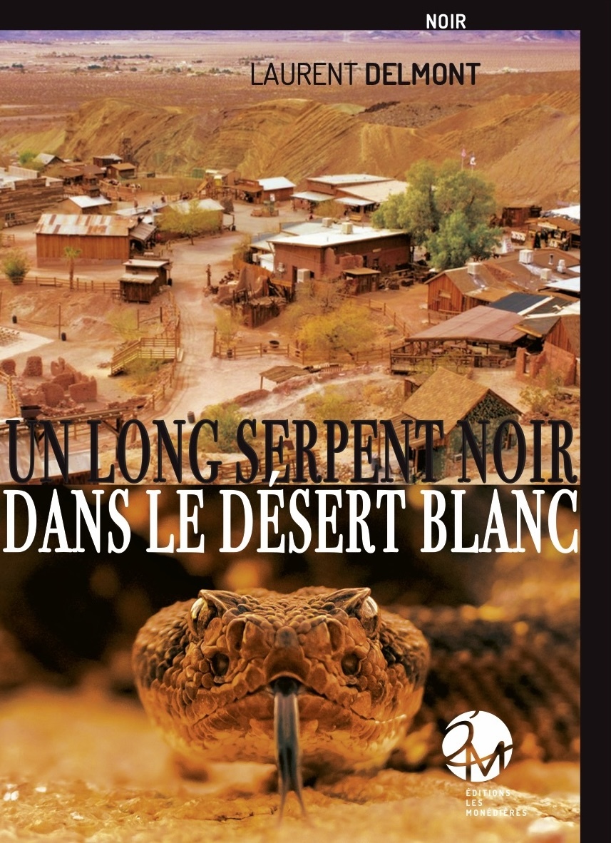 UN LONG SERPENT NOIR DANS LE DÉSERT BLANC