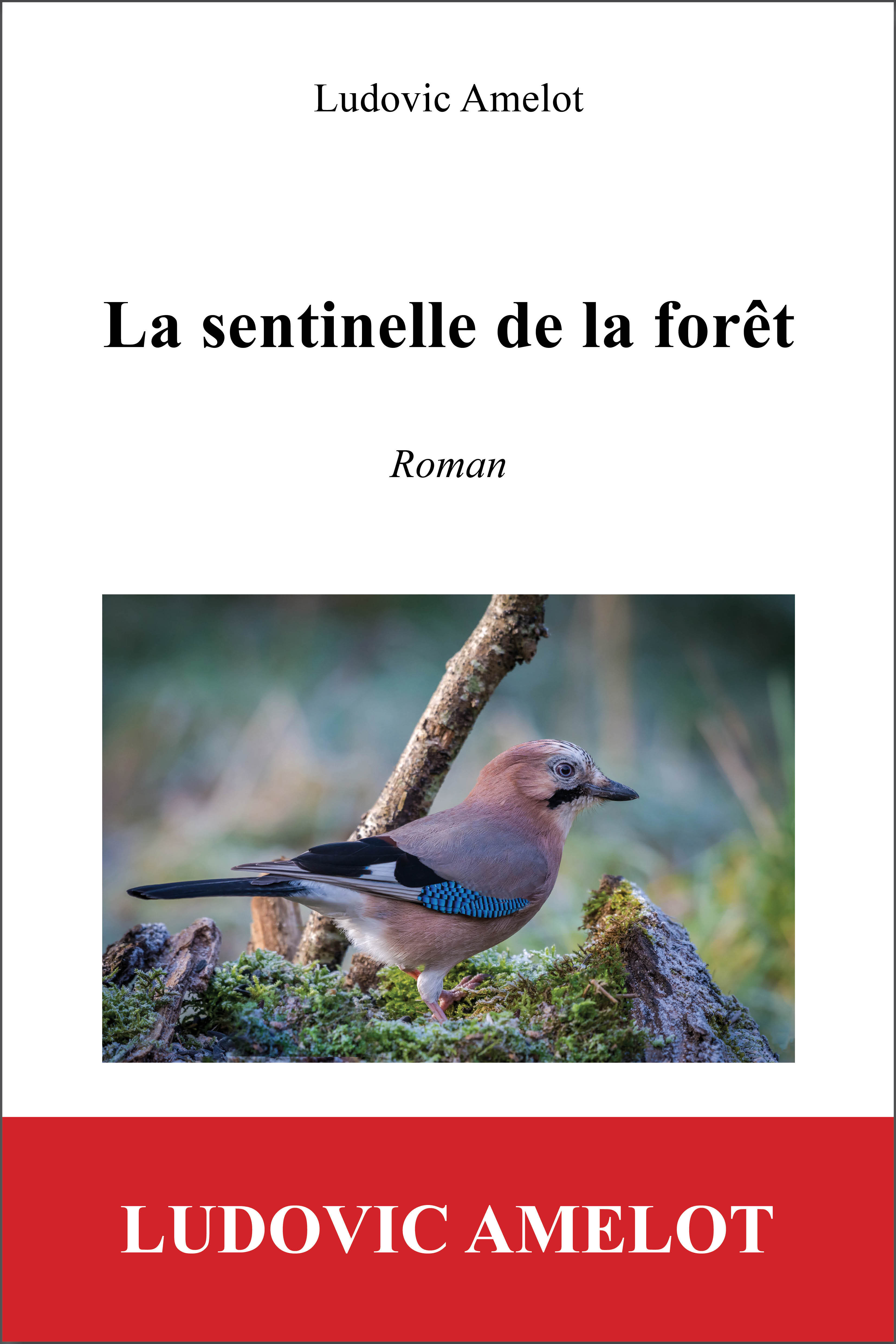 LA SENTINELLE DE LA FORET
