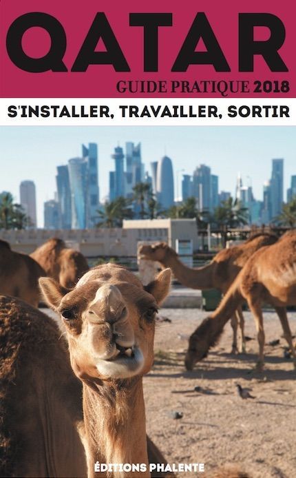 Guide Pratique du Qatar 2018 : s'installer, travailler, sortir