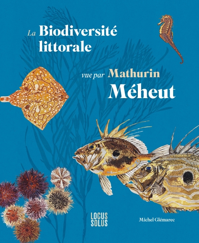La biodiversité littorale vue par Mathurin Méheut