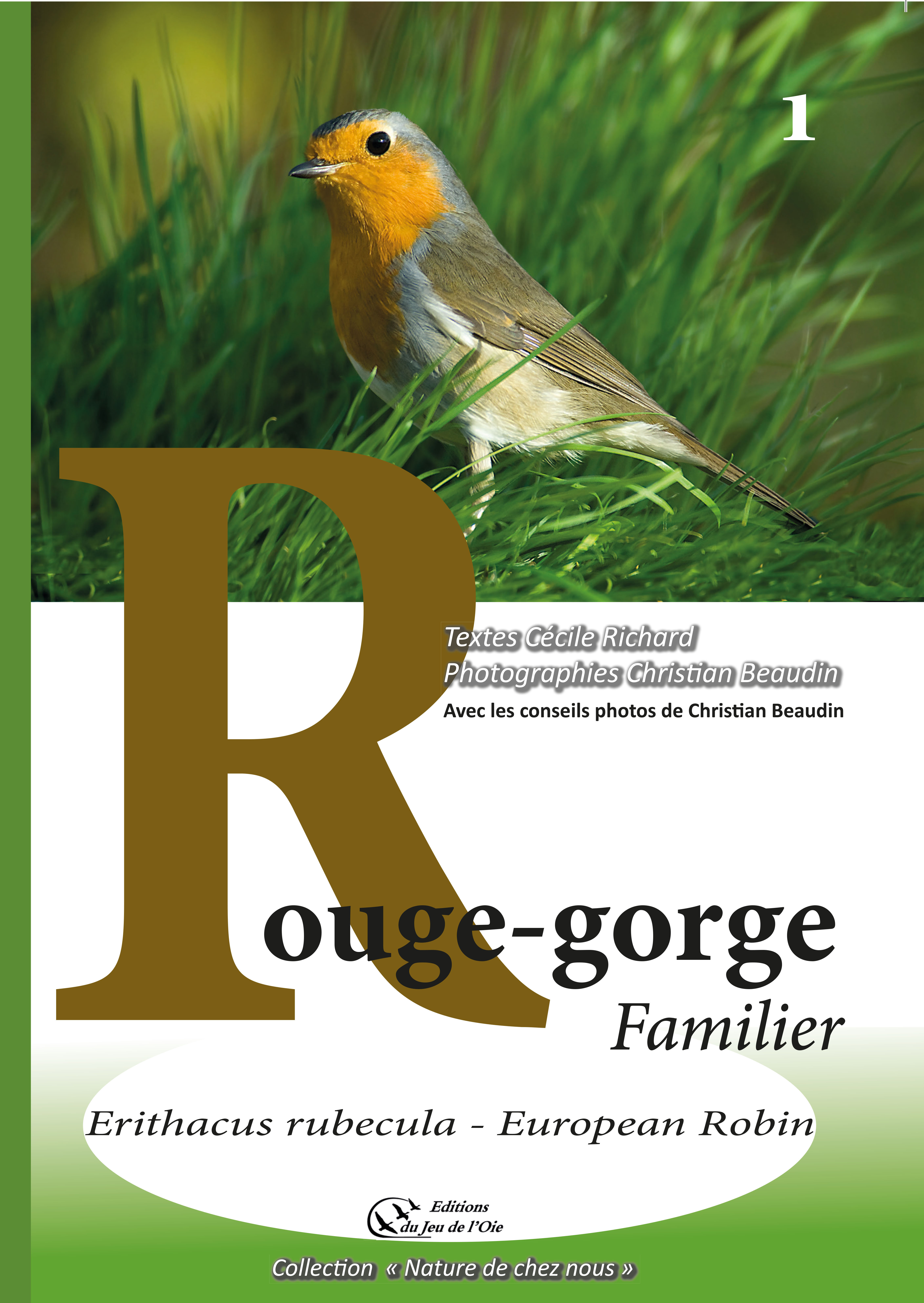 Rouge-gorge familier