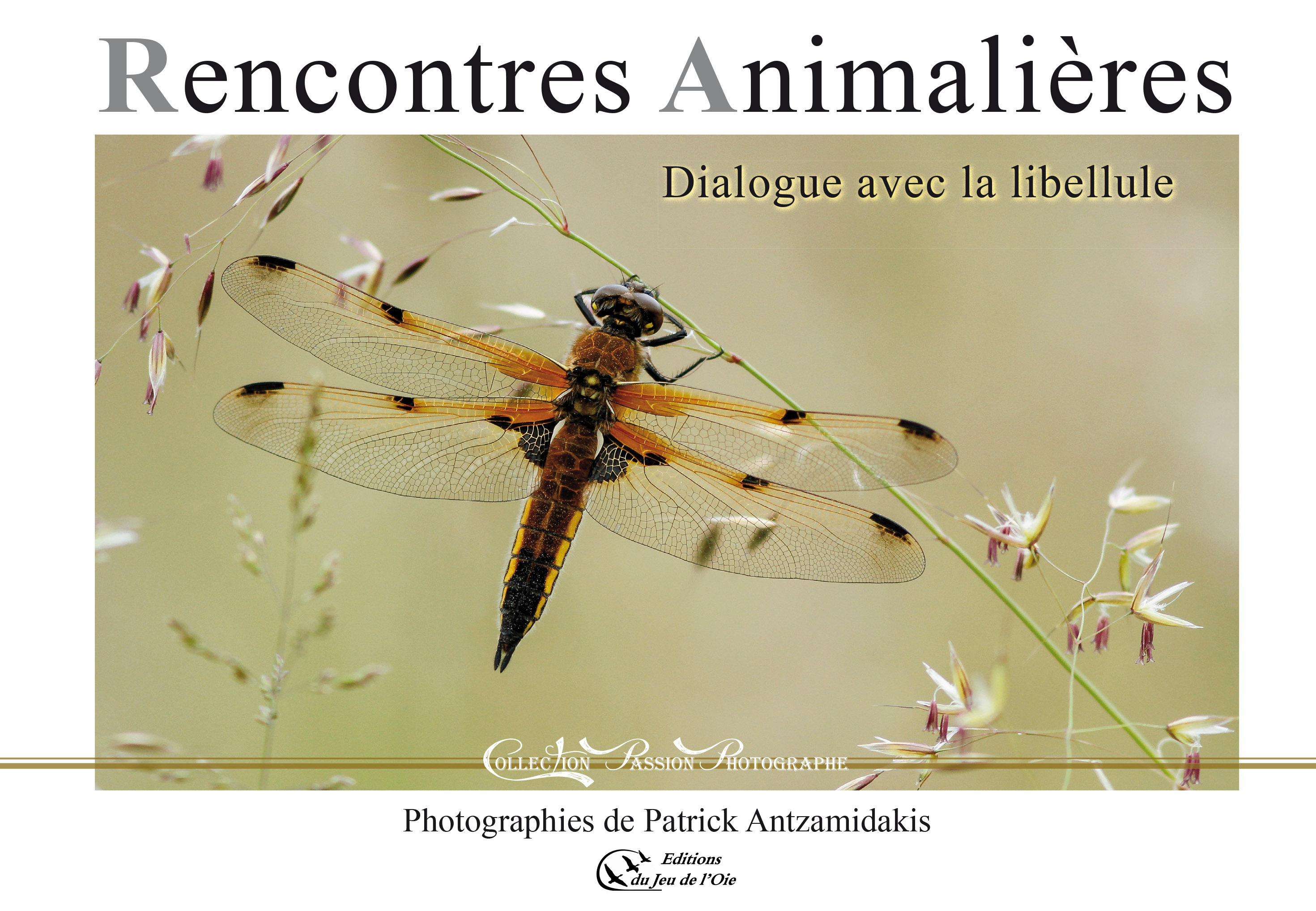 RENCONTRES ANIMALIERES, DIALOGUE AVEC LA LIBELLULE
