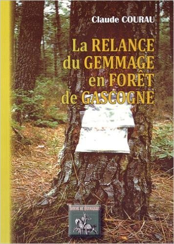 La relance du gemmage en forêt de Gascogne