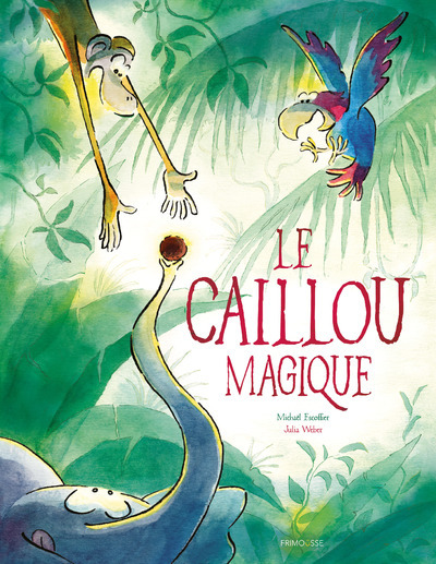 Le caillou magique