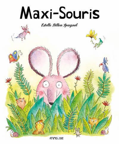 Maxi-souris