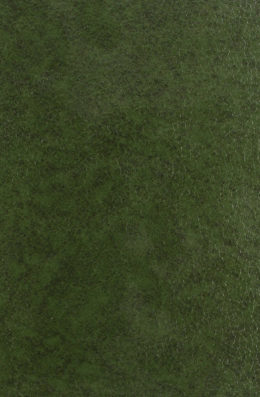 Un Disciple de  Ronsard : Amadis Jamyn, 1540-1593. (1929)