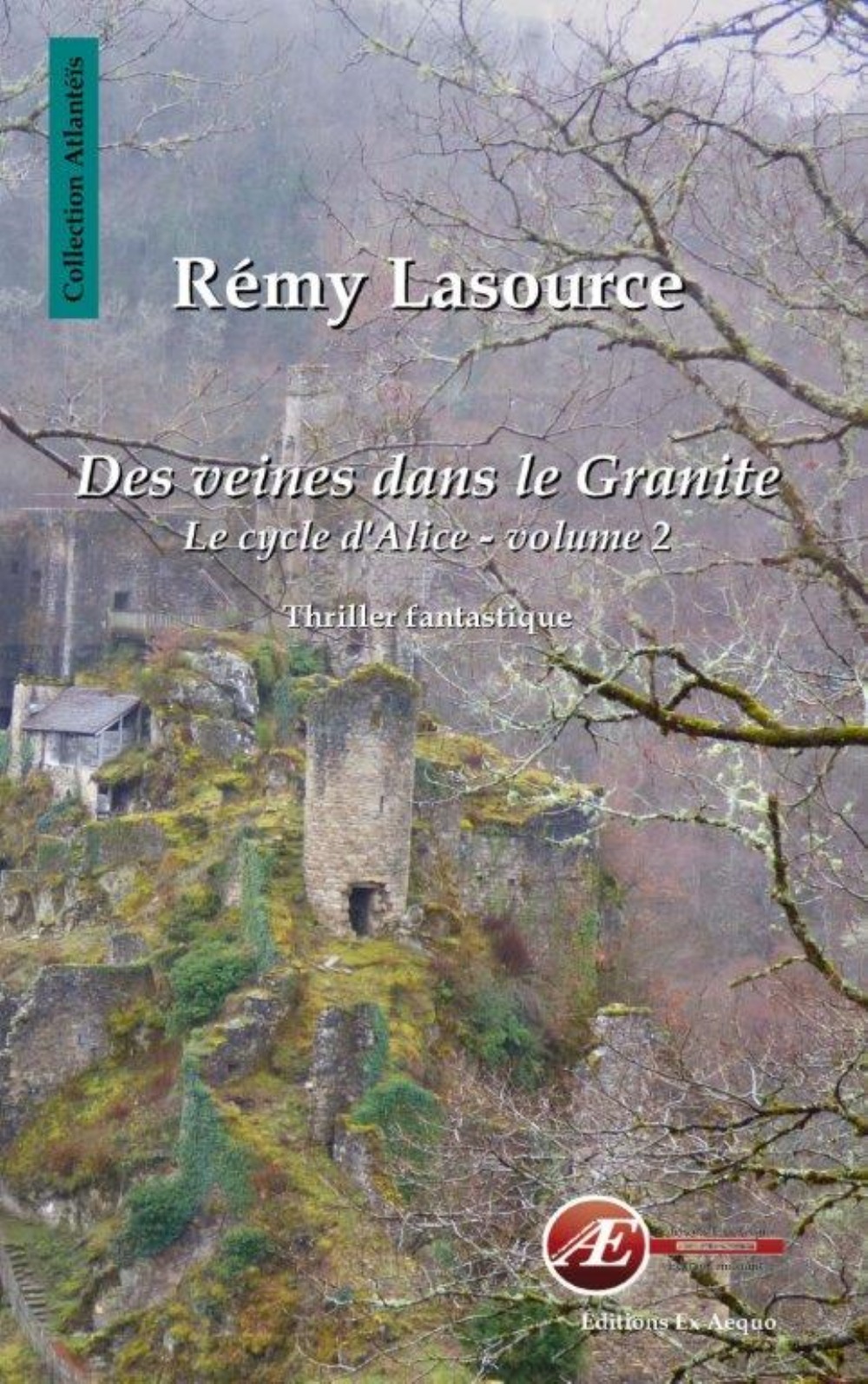 Des veines dans le granite - thriller fantastique