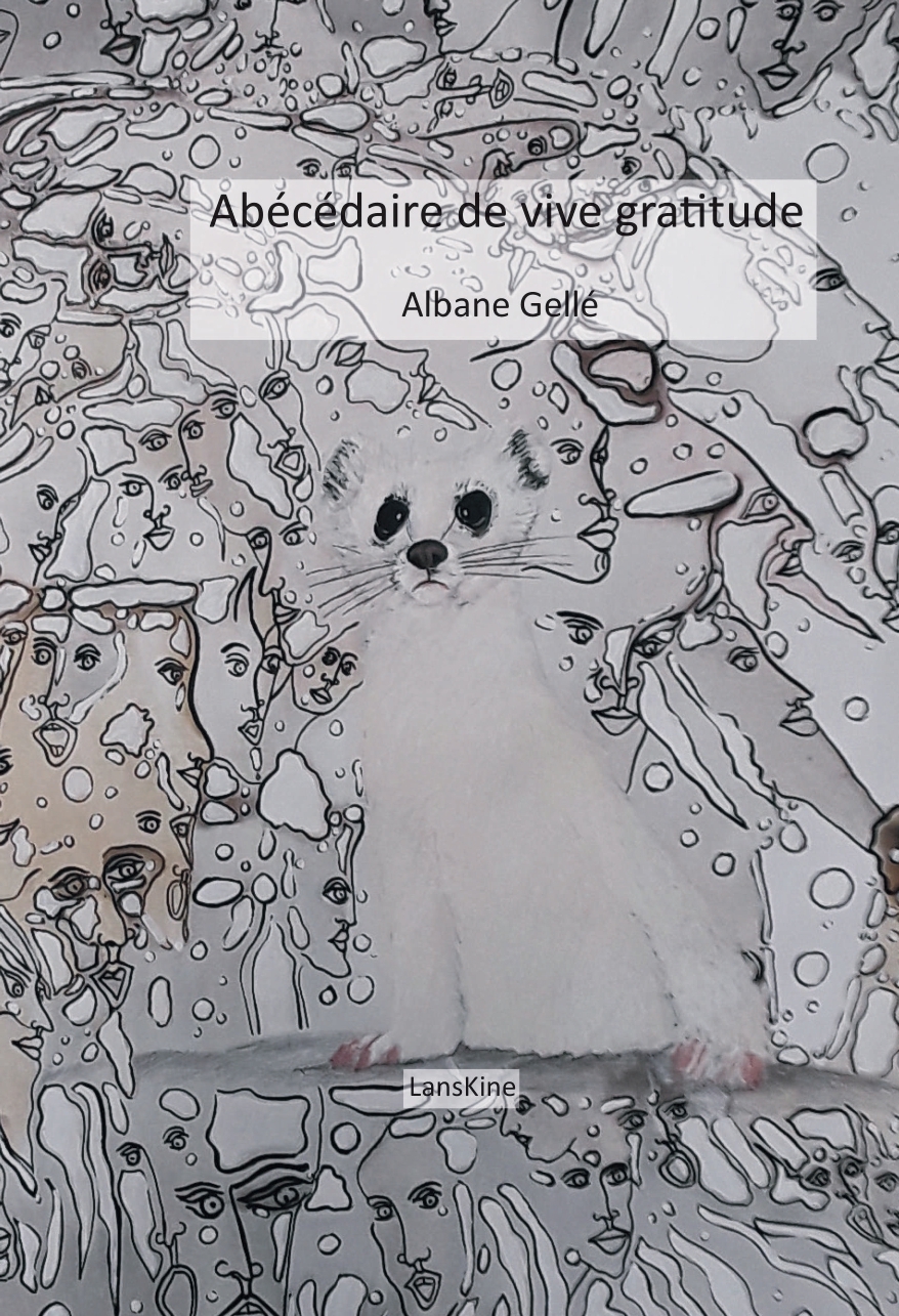 Abécédaire de vive gratitude/  36 mercis (+1) comme 36 chandelles (+1)sous un ciel étoilé