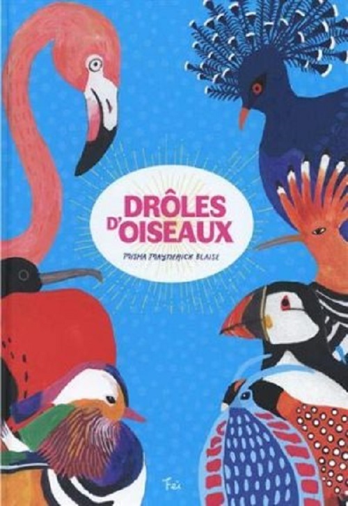 DROLE D'OISEAUX
