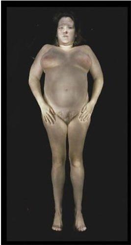 Gary Schneider Nudes /anglais