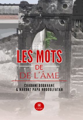 Les mots de l'âme