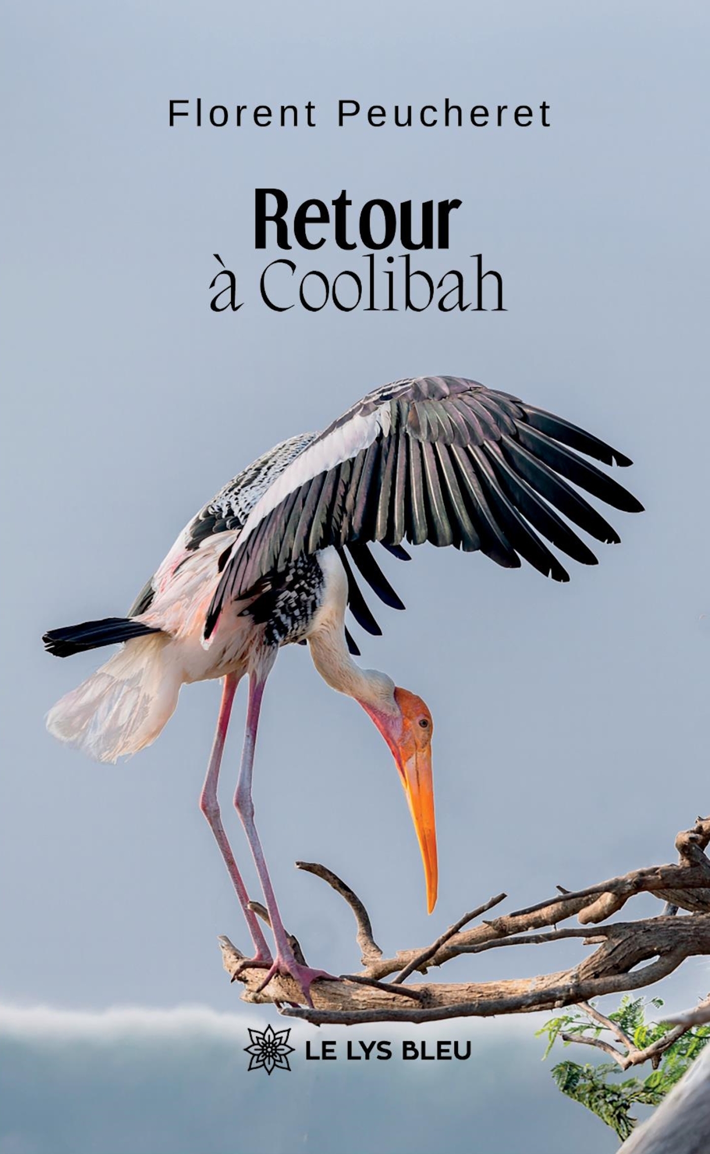 Retour à Coolibah