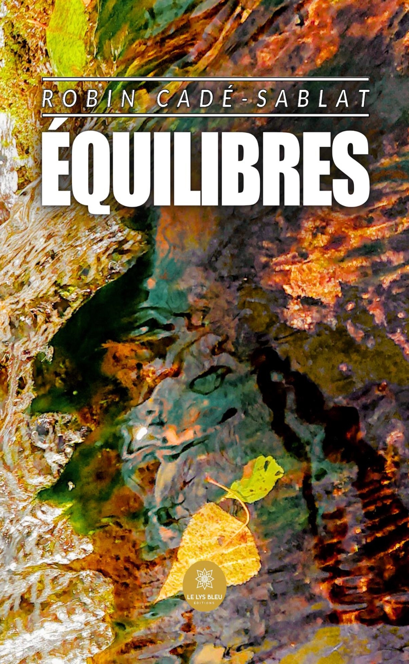 Équilibres