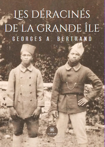 Les Déracinés de la Grande Île