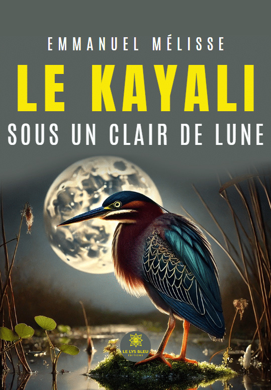 Le kayali sous un clair de lune