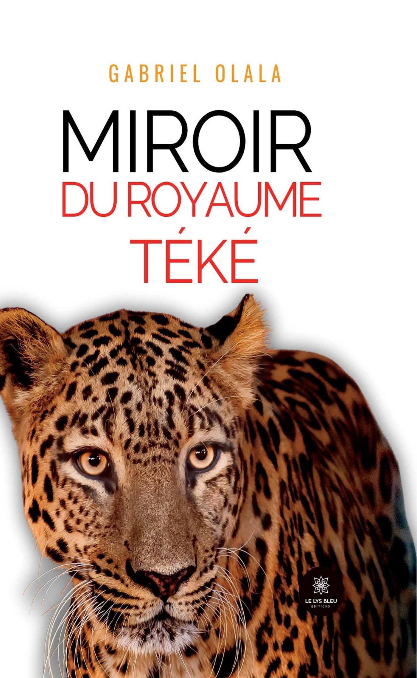 Miroir du Royaume Téké