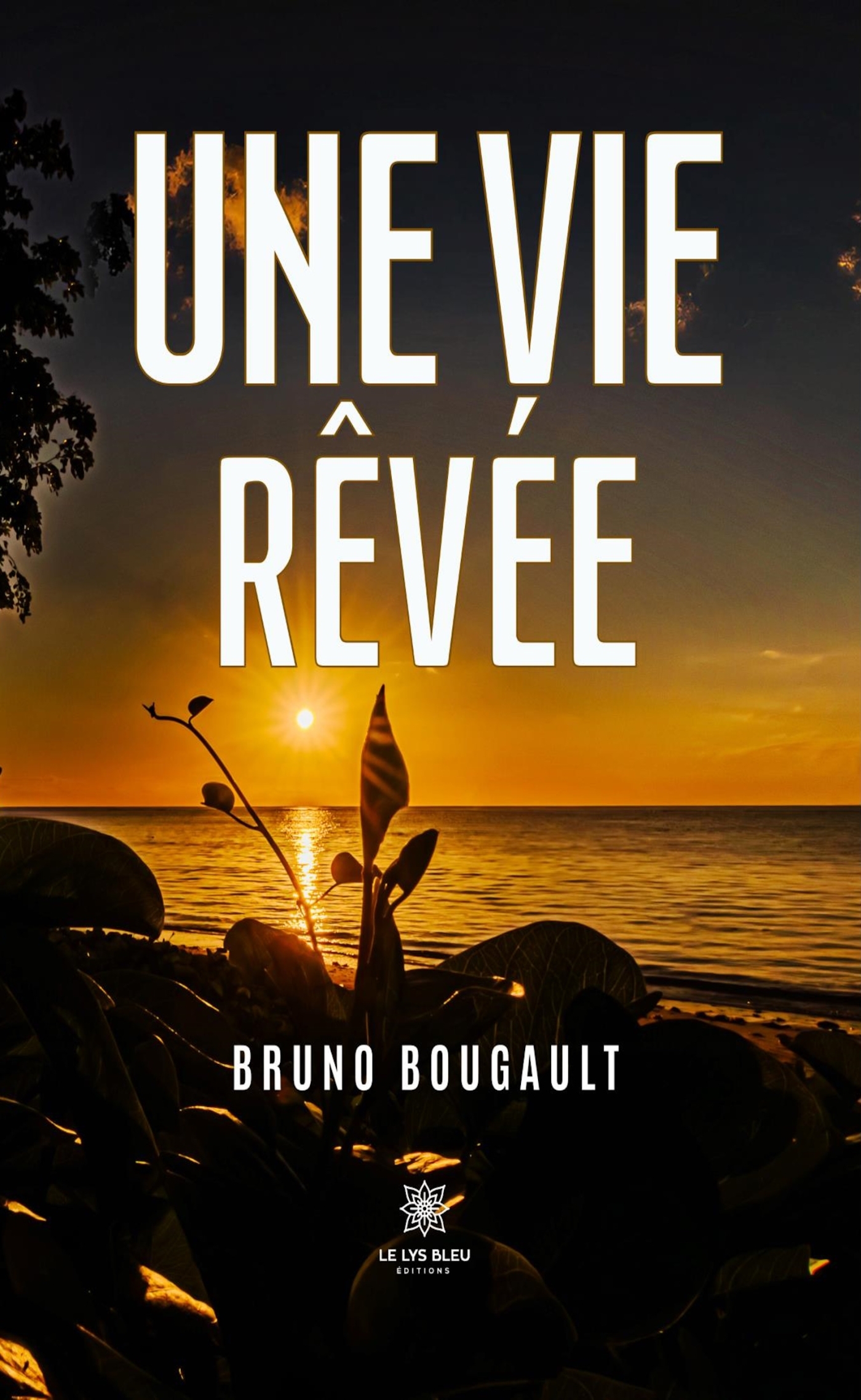 Une vie rêvée